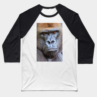 Western Lowland Gorilla Close Up Baseball T-Shirt